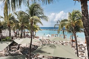 ONE Mambo by Bocobay