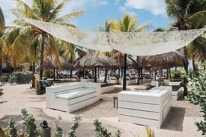 ONE Mambo by Bocobay