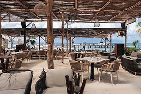 ONE Mambo by Bocobay