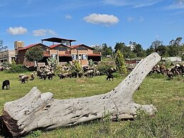 Cabañas El Campo