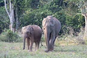 The Den at Yala