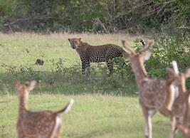 The Den at Yala