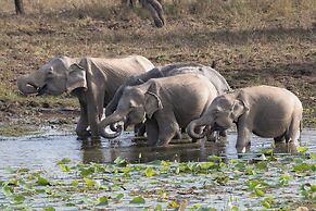 The Den at Yala