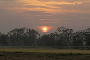 The Den at Yala