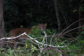 The Den at Yala