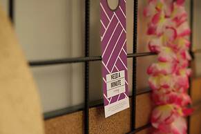 Moxy Nice