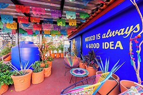 Casa Colibrí Malecón