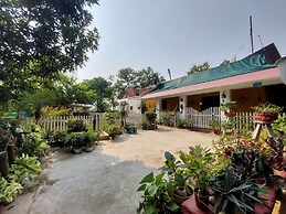 Koko's Farm