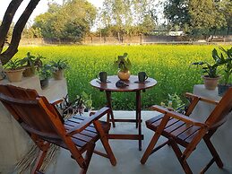 Koko's Farm