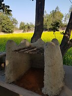 Koko's Farm