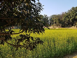 Koko's Farm