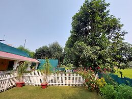 Koko's Farm