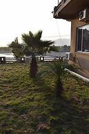 Ali Country Club and Resort
