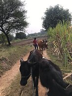 ingawale farmhouse