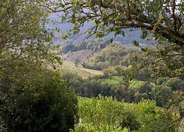 Scenic Villa in Assisi With Pool