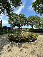 Blossom Cottage, Elgin Grabouw