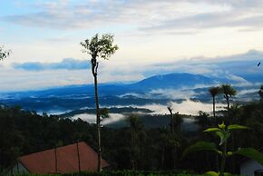 Tea Terrace Vythiri Resort