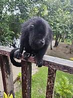 Howler Jungle House