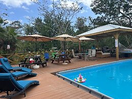 Howler Jungle House