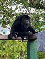 Howler Jungle House