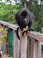 Howler Jungle House