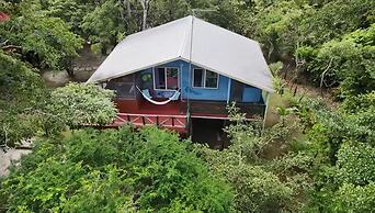 Howler Jungle House