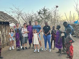 Pride Lands Safari