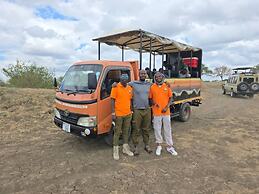 Pride Lands Safari