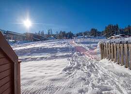 Apartment in Morillon Near Ski Slopes