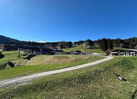 Apartment in Morillon Near ski Area