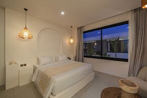 Nova Oasis 1