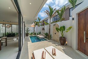Nova Oasis 1