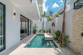 Nova Oasis 1