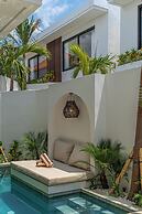 Nova Oasis 1