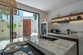 Nova Oasis 1