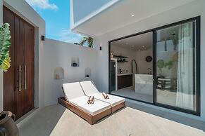 Nova Oasis 1