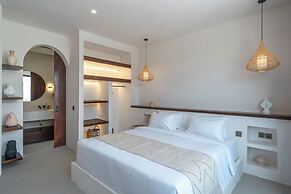Nova Oasis 1