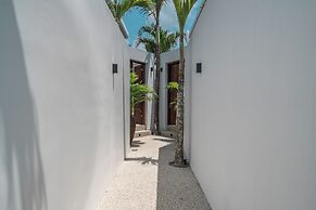 Nova Oasis 3