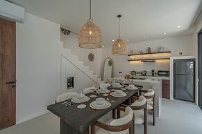 Nova Oasis 3