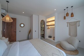 Nova Oasis 3