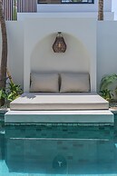 Nova Oasis 3