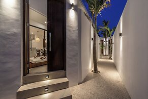 Nova Oasis 3