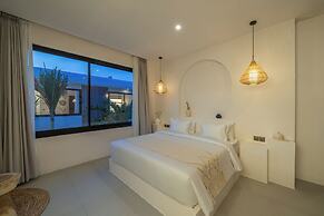 Nova Oasis 3