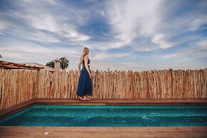 Nobu Riad