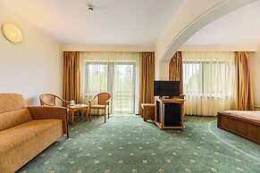 Hotel Casa Viorel