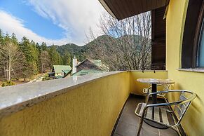 Hotel Casa Viorel