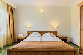 Hotel Casa Viorel