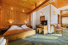 Hotel Casa Viorel