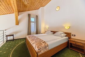 Hotel Casa Viorel