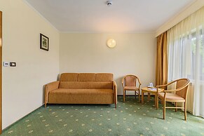 Hotel Casa Viorel